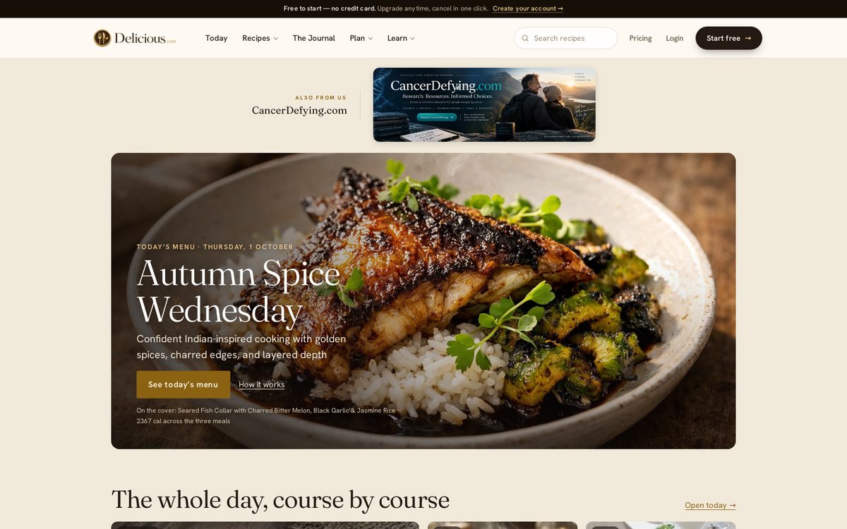 Premium website preview